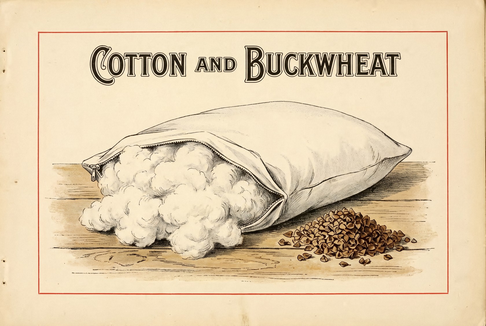 Illustration of a white pillow with its cotton cover partly unzipped and folded back to show the white cotton fill inside, next to a small pile of brown buckwheat hulls. It shows that the cover and the filling are separate parts.